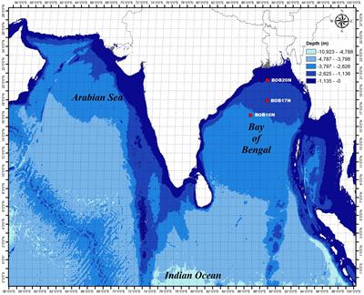 Exploring the hidden treasures: Deep-sea bacterial community structure in the Bay of Bengal and their metabolic profile